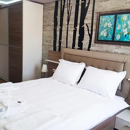 Ana Lux Hotel Pirot